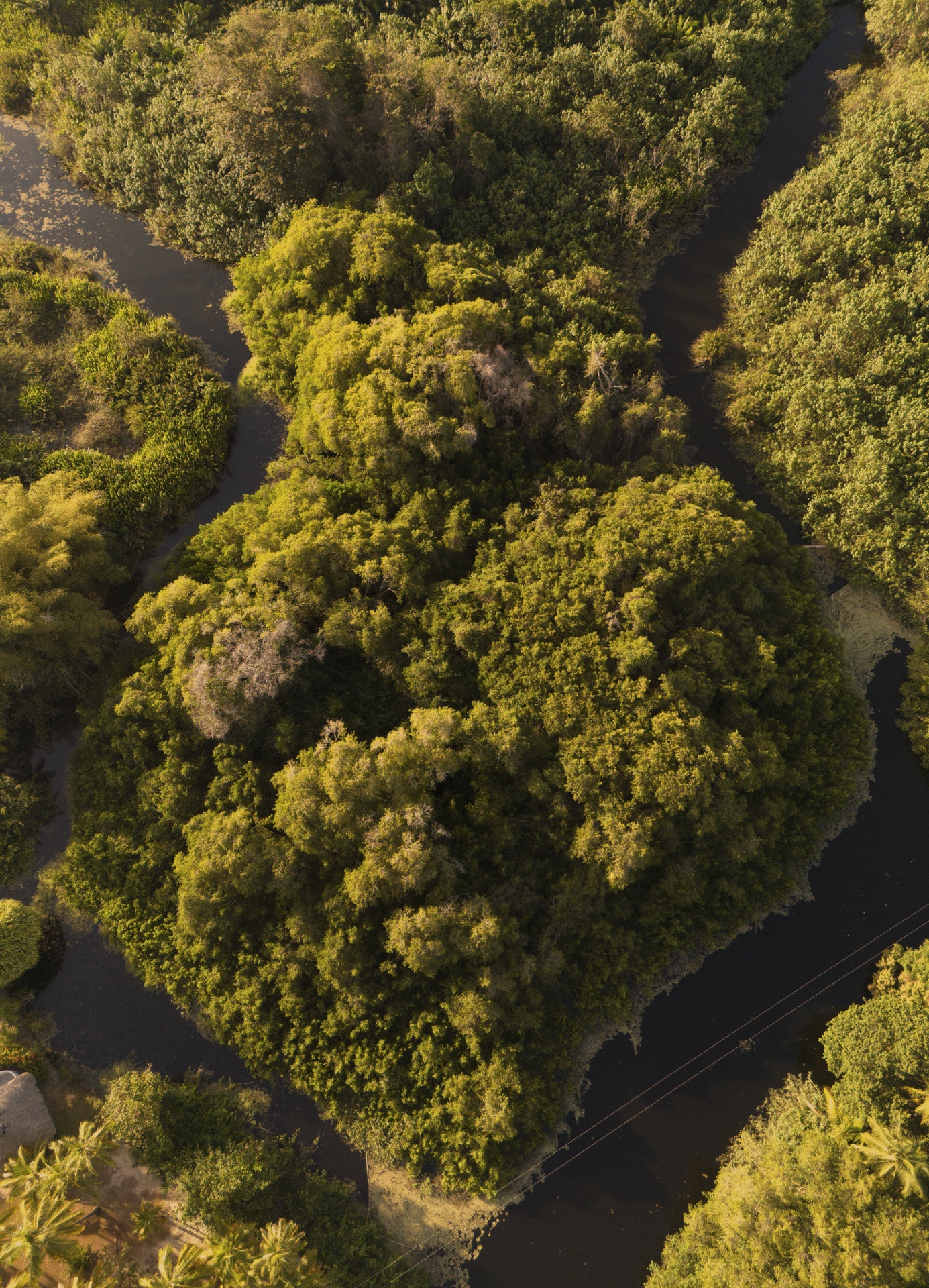 Vista aérea Playa Bonita