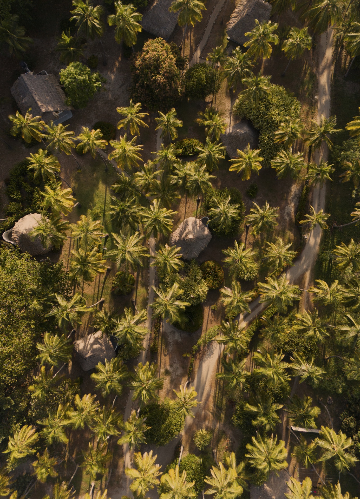 Vista aérea Playa Bonita