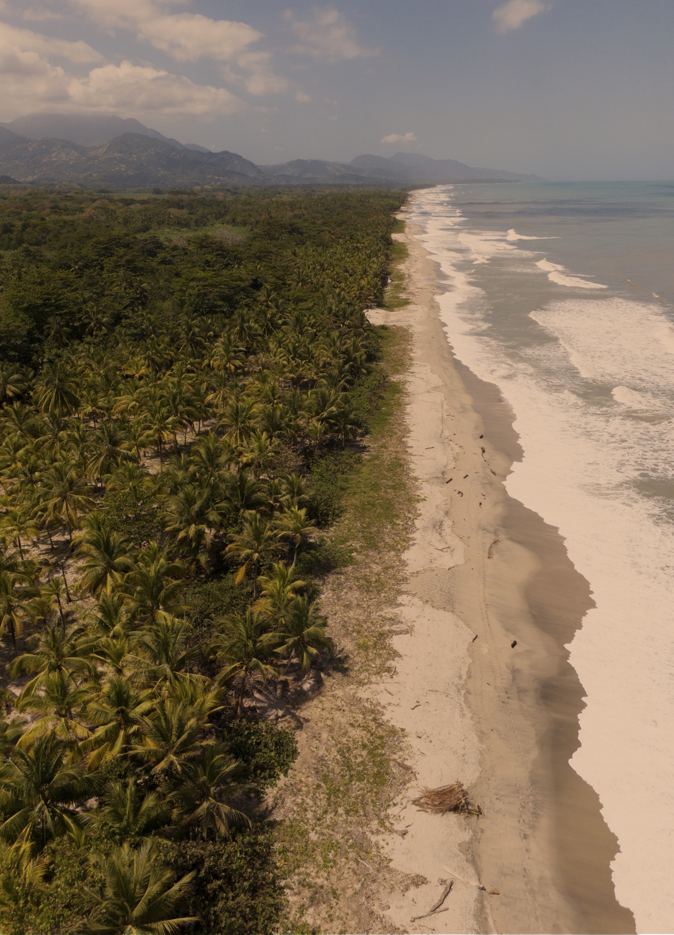 Vista aérea Playa Bonita